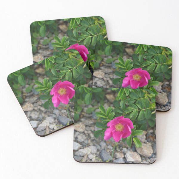 Item preview, Beach roses designed and sold by Lauracolleen3.
