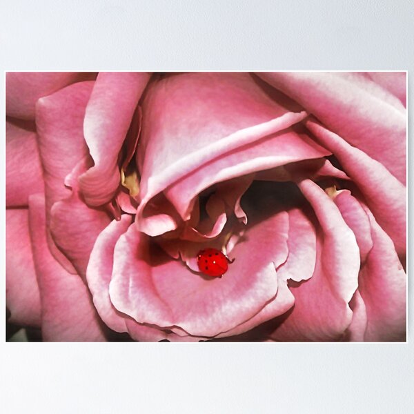 Item preview, Ladybug on a Rose designed and sold by Claude Johnson.