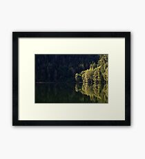 Jewel Framed Print