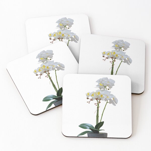 Item preview, White Phalaenopsis orchid in a gray pot. designed and sold by elopezstock.