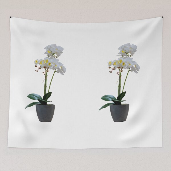 Item preview, White Phalaenopsis orchid in a gray pot. designed and sold by elopezstock.