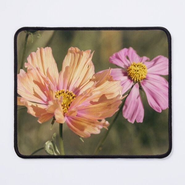Item preview, Retro Summer Cosmea Blooms designed and sold by Imladris01.