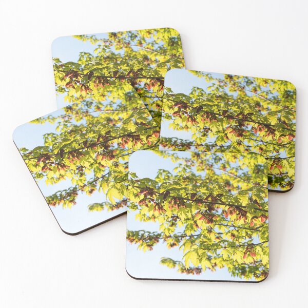 Item preview, Sunlit Maple Tree Branches with Fresh Leaves and Samaras designed and sold by Georgia Mizuleva.