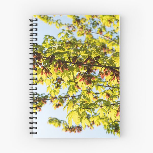 Item preview, Sunlit Maple Tree Branches with Fresh Leaves and Samaras designed and sold by Georgia Mizuleva.