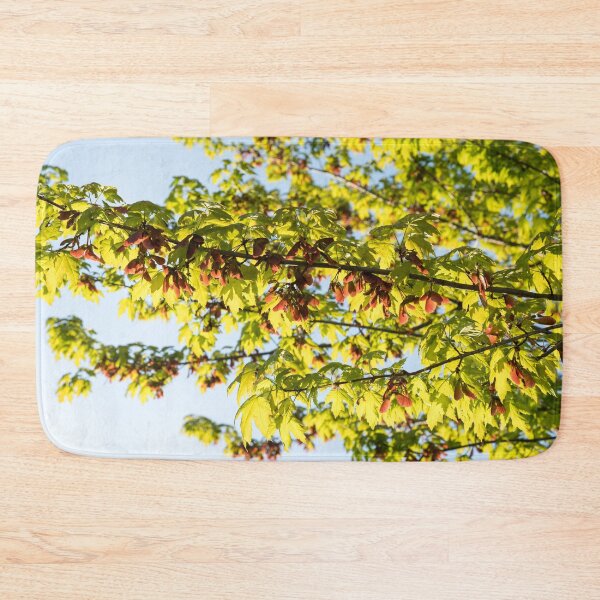 Item preview, Sunlit Maple Tree Branches with Fresh Leaves and Samaras designed and sold by Georgia Mizuleva.