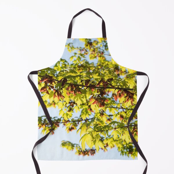 Item preview, Sunlit Maple Tree Branches with Fresh Leaves and Samaras designed and sold by Georgia Mizuleva.