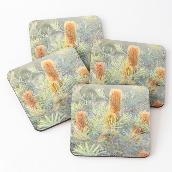 Item preview, Early Morning Banksia designed and sold by Siene Browne.
