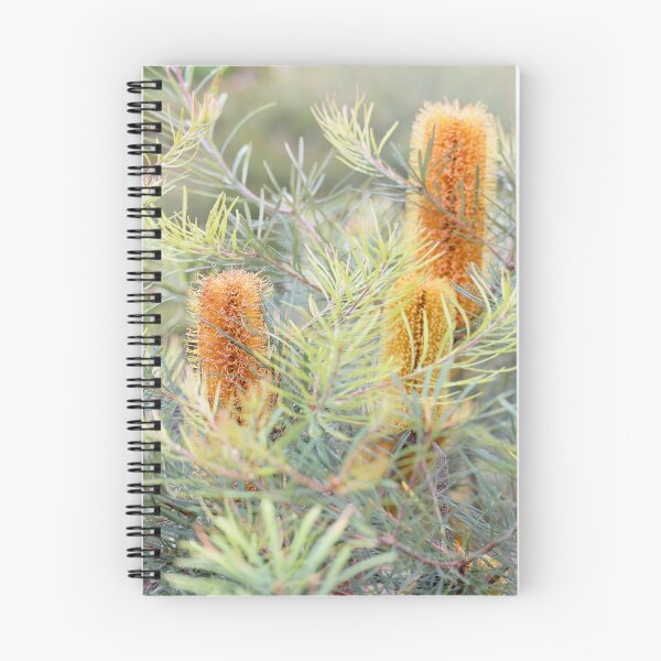 Item preview, Early Morning Banksia designed and sold by Siene Browne.
