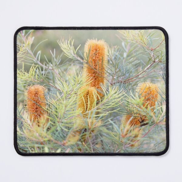 Item preview, Early Morning Banksia designed and sold by Siene Browne.