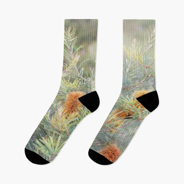 Item preview, Early Morning Banksia designed and sold by Siene Browne.