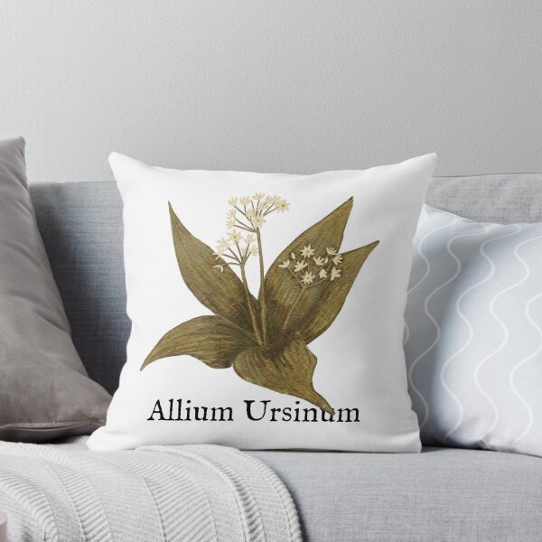 Item preview, Carpathian Herb Botanical Art_Allium Ursinum_Wild Garlic designed and sold by DesignsByCornea.