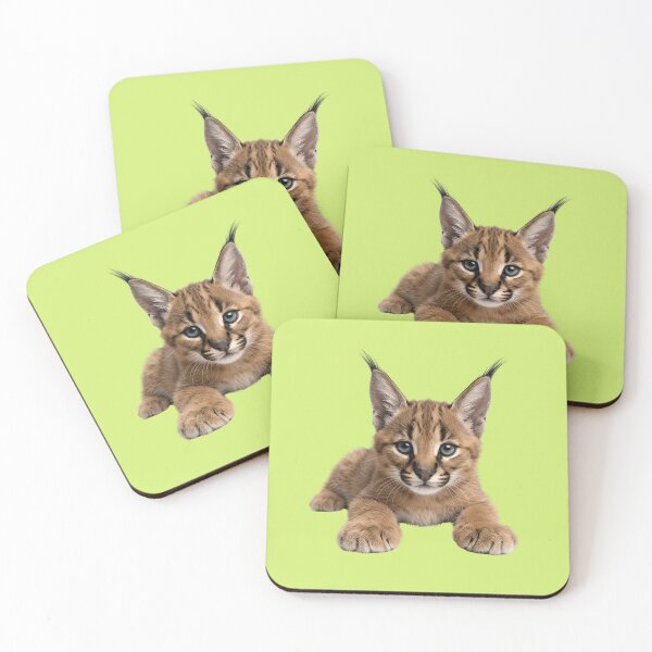 Item preview, Realistic Baby Caracal Lynx Kitten designed and sold by Utopian-Magic.