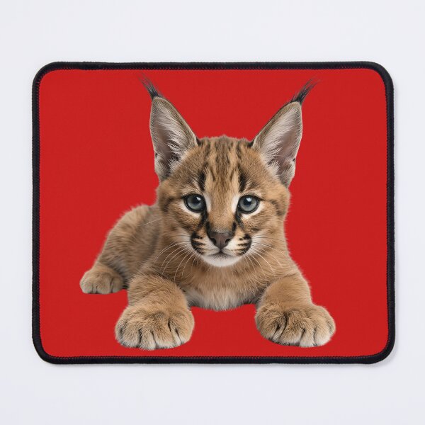 Item preview, Realistic Baby Caracal Lynx Kitten designed and sold by Utopian-Magic.