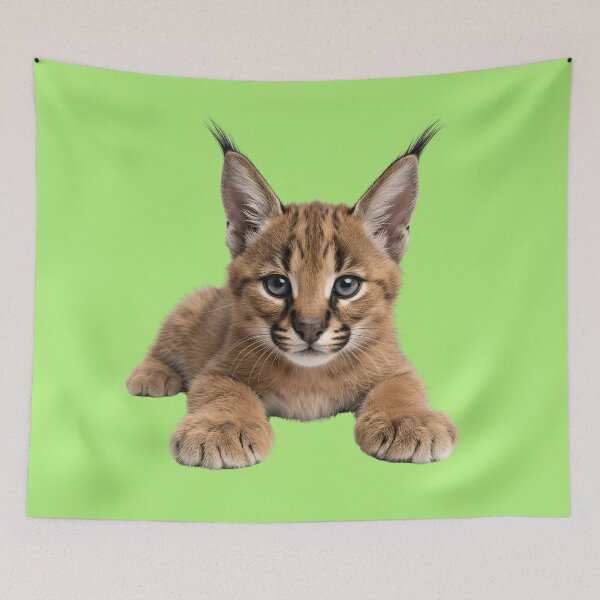 Item preview, Realistic Baby Caracal Lynx Kitten designed and sold by Utopian-Magic.