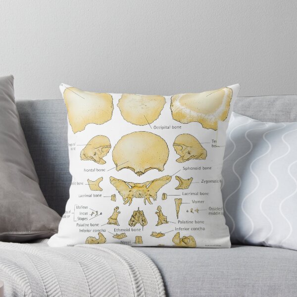 Item preview, bones exploding skull designed and sold by Cedartown.