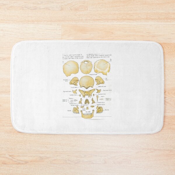 Item preview, bones exploding skull designed and sold by Cedartown.