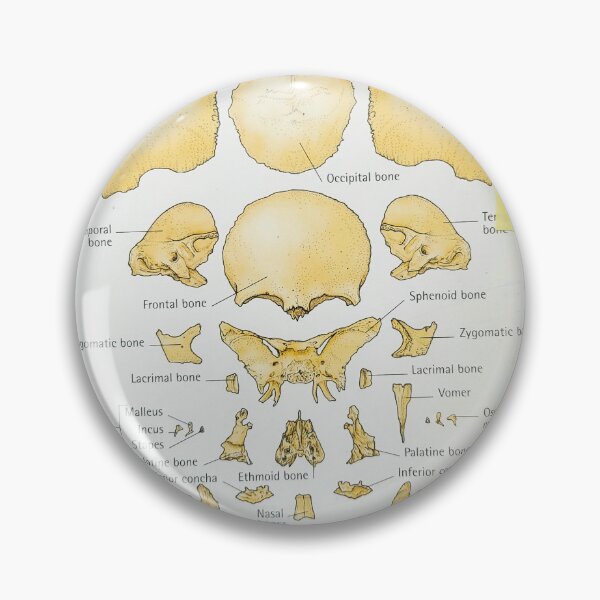 Item preview, exploding skull  designed and sold by Cedartown.