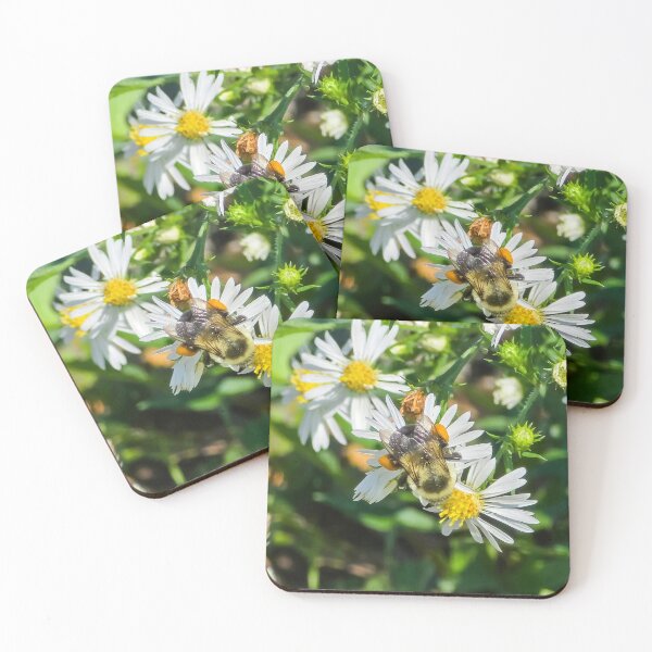 Item preview, Among the Asters No. 11 designed and sold by Feral Vibes.