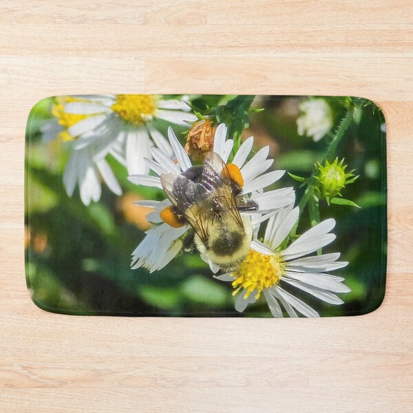 Item preview, Among the Asters No. 11 designed and sold by Feral Vibes.