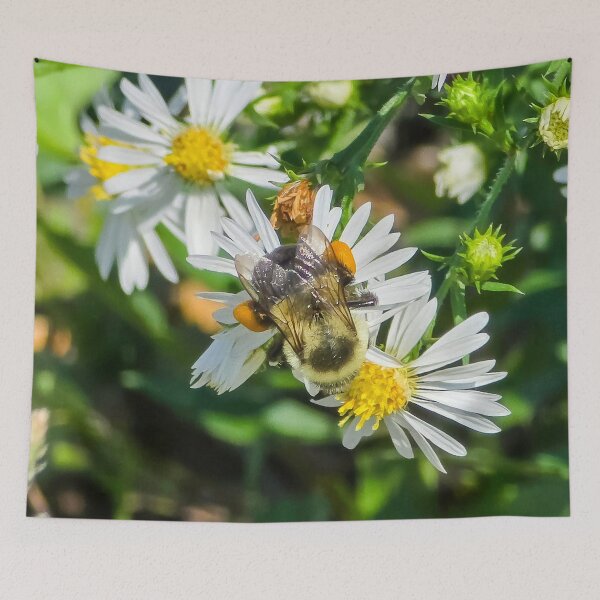 Item preview, Among the Asters No. 11 designed and sold by Feral Vibes.