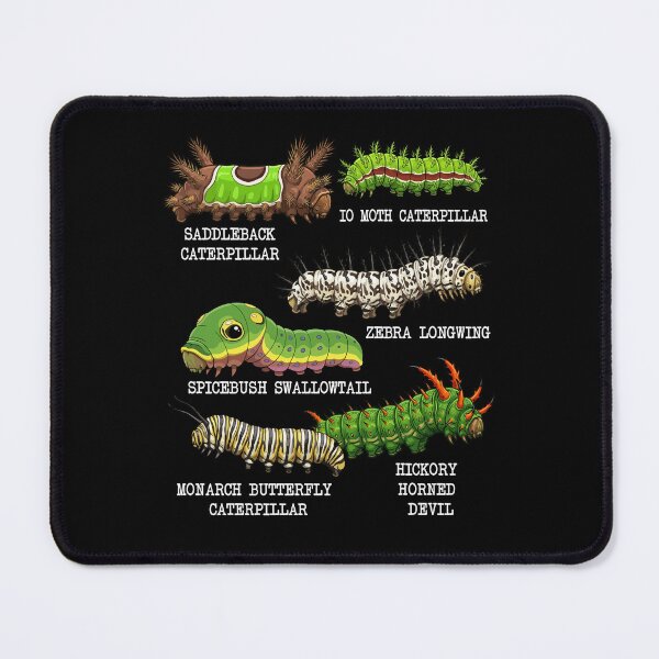 Item preview, Caterpillar Lover Insects Species Kids Biology Caterpillar designed and sold by DSWShirts.
