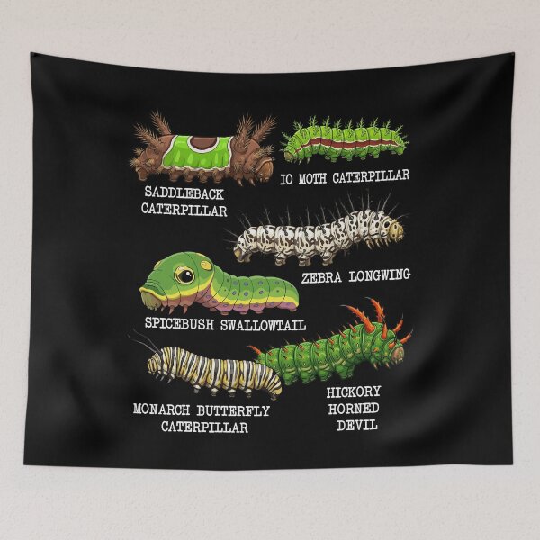 Item preview, Caterpillar Lover Insects Species Kids Biology Caterpillar designed and sold by DSWShirts.