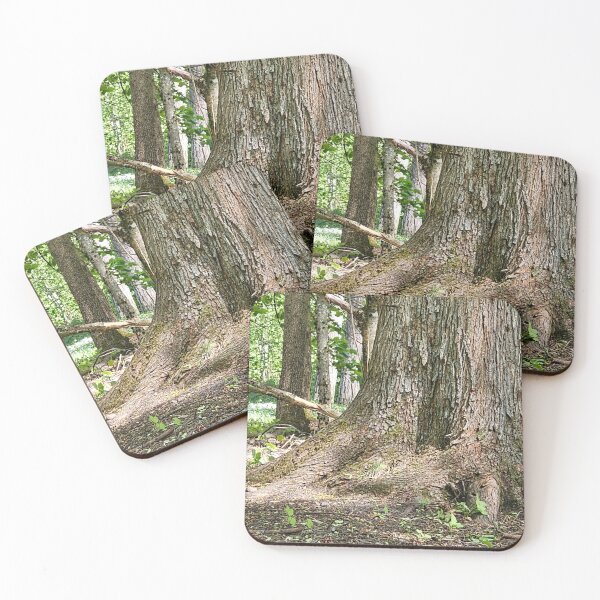Item preview, The Blackbird's Oak designed and sold by bluerosesart37.