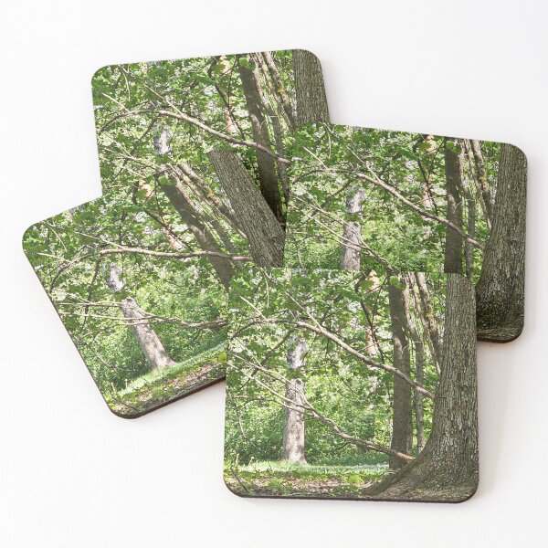 Item preview, Where the Oak Begins  designed and sold by bluerosesart37.