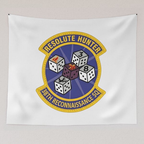 Item preview, US Air Force 38th Reconnaissance Squadron "Resolute Hunter" Insignia designed and sold by CharlieDesings.