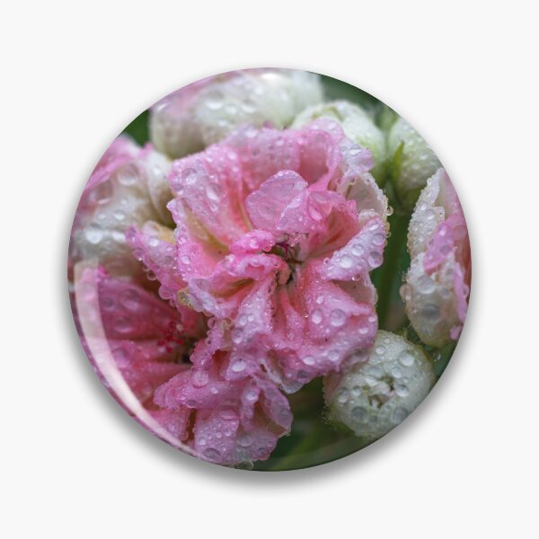 Item preview, Soft Pink Geranium Flower with Morning Dew Drops designed and sold by BlueMandarin.