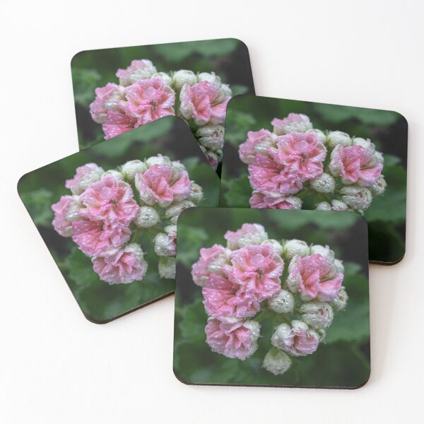 Item preview, Soft Pink Geranium Flower with Morning Dew Drops designed and sold by BlueMandarin.