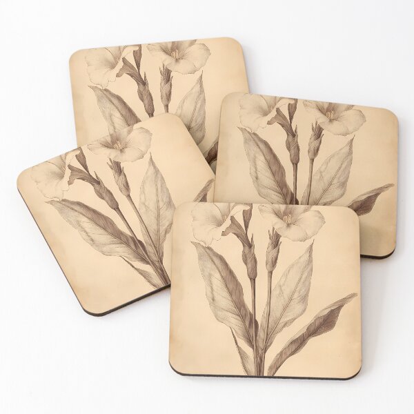 Item preview, Cana-da-índia — Gravura Botânica Vintage | Atlantic Forest designed and sold by AtlanticForest.