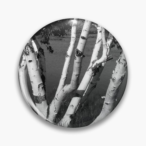 Item preview, Pontook Birch Monochrome designed and sold by Wayne King.