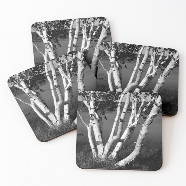 Item preview, Pontook Birch Monochrome designed and sold by Wayne King.