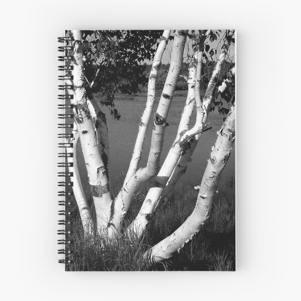 Item preview, Pontook Birch Monochrome designed and sold by Wayne King.