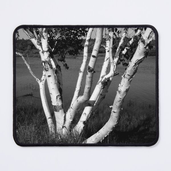 Item preview, Pontook Birch Monochrome designed and sold by Wayne King.