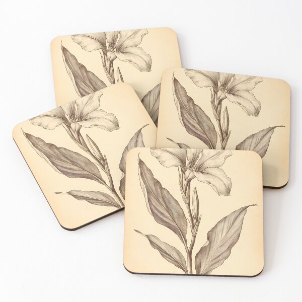 Item preview, Cana-da-índia — Ilustração Científica Vintage | Atlantic Forest designed and sold by AtlanticForest.