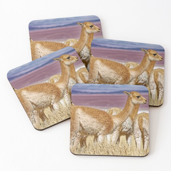 Item preview, Herd of Vicuñas - Photo Fauna Puna Argentina Andean Altiplano designed and sold by Keltoi-art.