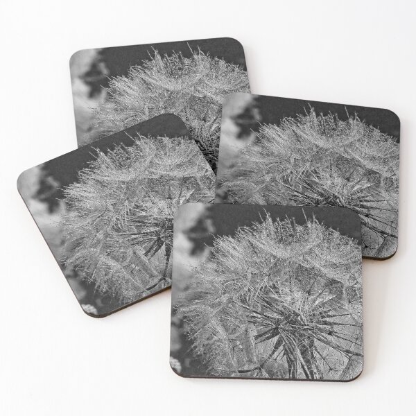 Item preview, Black and White Dandelion - Macro Photo Botanical Graphic Nature designed and sold by Keltoi-art.