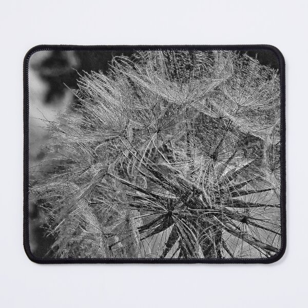 Item preview, Black and White Dandelion - Macro Photo Botanical Graphic Nature designed and sold by Keltoi-art.