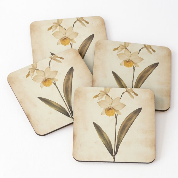 Item preview, Epidendro — Ilustração Científica Vintage | Atlantic Forest designed and sold by AtlanticForest.