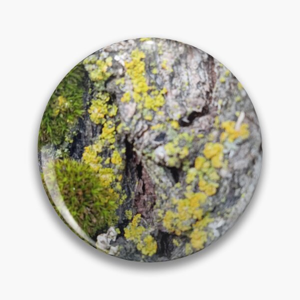 Item preview, Mossy grove  designed and sold by Ferbisherd.