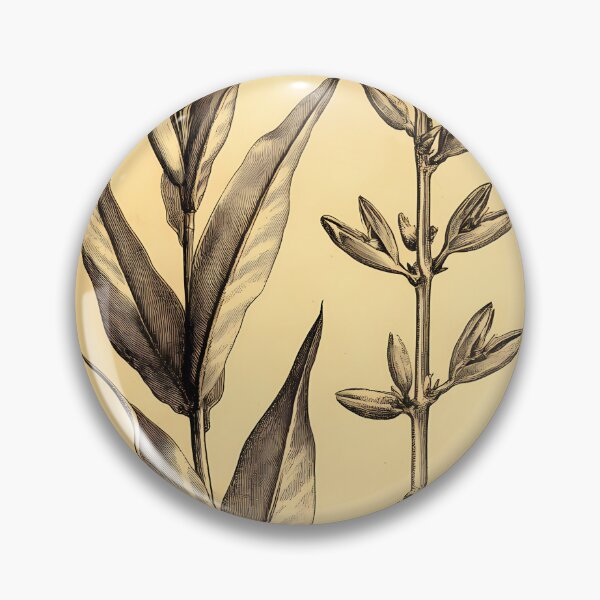 Item preview, Bico-de-Papagaio — Gravura Botânica Vintage | Atlantic Forest designed and sold by AtlanticForest.