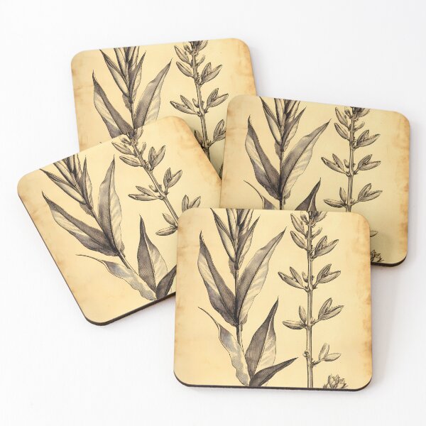 Item preview, Bico-de-Papagaio — Gravura Botânica Vintage | Atlantic Forest designed and sold by AtlanticForest.