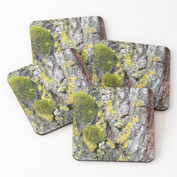 Item preview, Mossy grove  designed and sold by Ferbisherd.