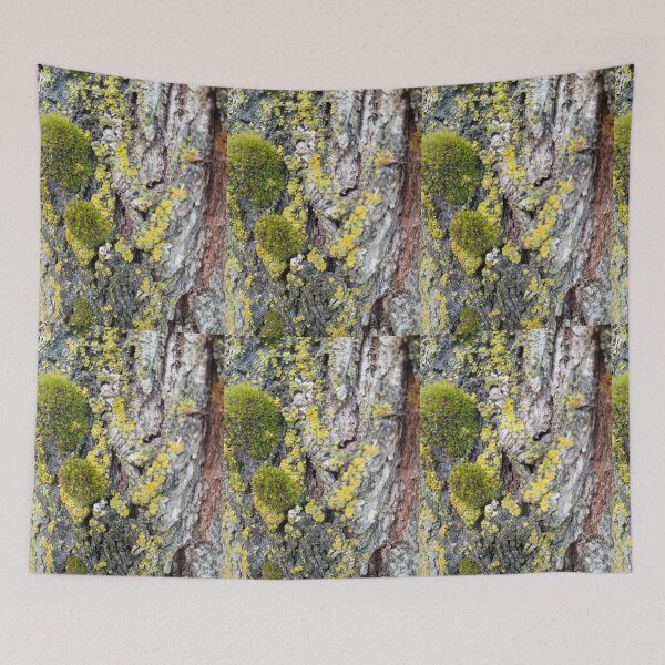 Item preview, Mossy grove  designed and sold by Ferbisherd.