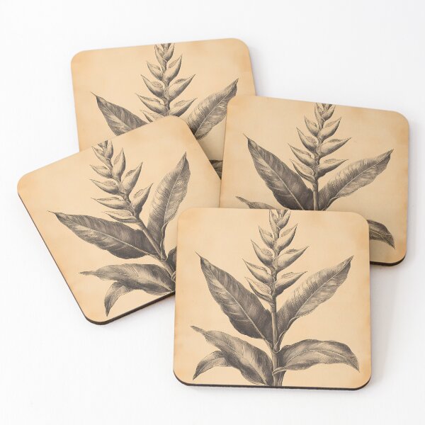 Item preview, Bico-de-Papagaio — Ilustração Científica Vintage | Atlantic Forest designed and sold by AtlanticForest.
