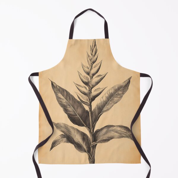 Item preview, Bico-de-Papagaio — Ilustração Científica Vintage | Atlantic Forest designed and sold by AtlanticForest.