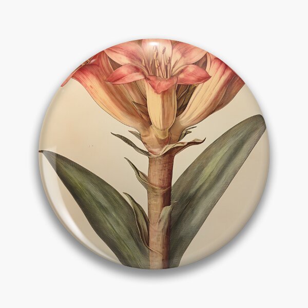 Item preview, Bromélia-de-fogo — Gravura Botânica Vintage | Atlantic Forest designed and sold by AtlanticForest.