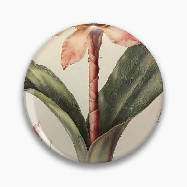 Item preview, Bromélia-de-fogo — Ilustração Científica Vintage | Atlantic Forest designed and sold by AtlanticForest.